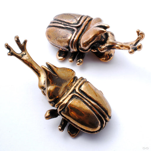 Beetle Ear Weights in Bronze from Blessings to You in High Polish Bronze