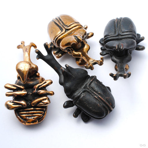 Beetle Ear Weights in Bronze from Blessings to You