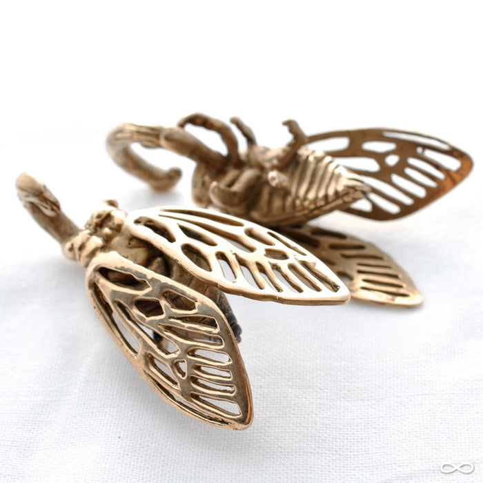 Cicada Ear Weights in Bronze from Blessings to You