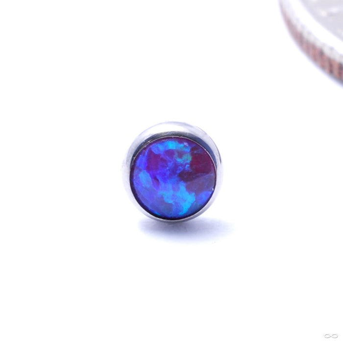 Bezel-set Cabochon Press-fit End in Titanium from NeoMetal with Purple Opal