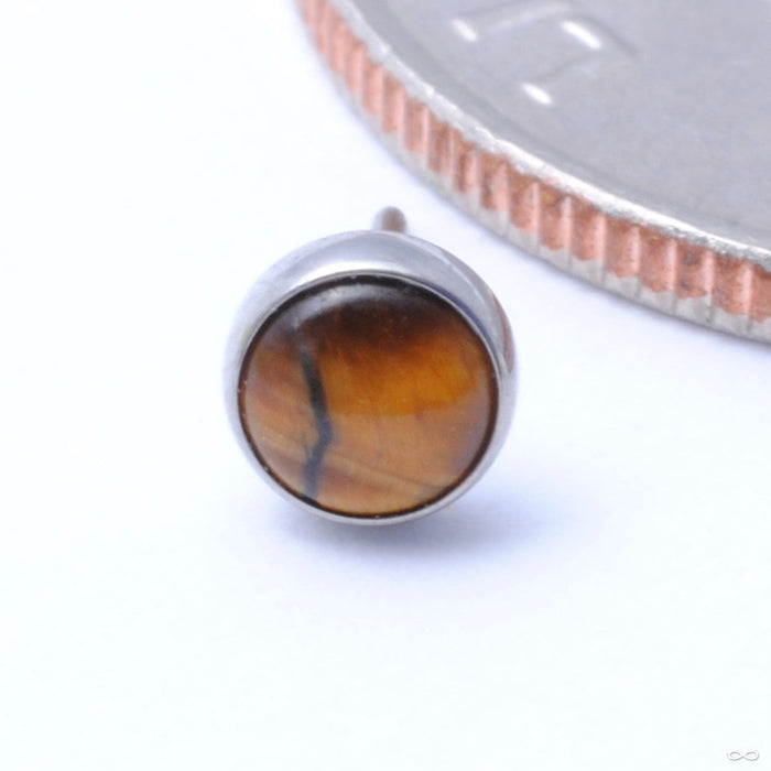 Bezel-set Cabochon Press-fit End in Titanium from NeoMetal with Tiger Eye