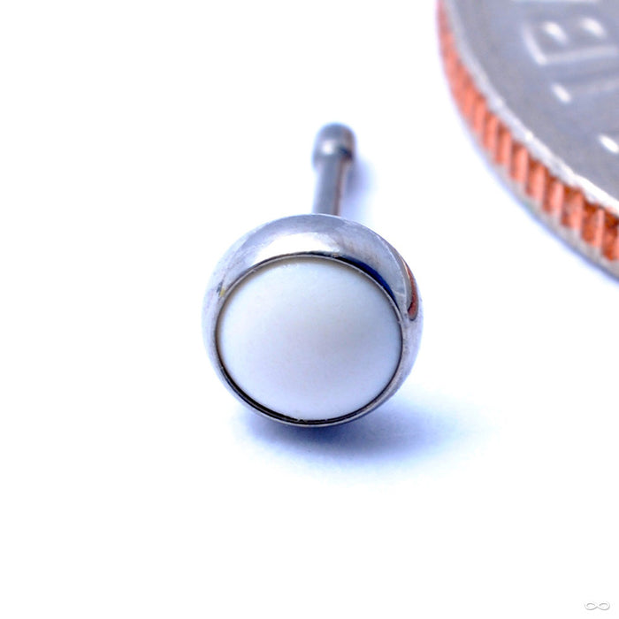 Bezel-set Cabochon Press-fit End in Titanium from NeoMetal with White Coral
