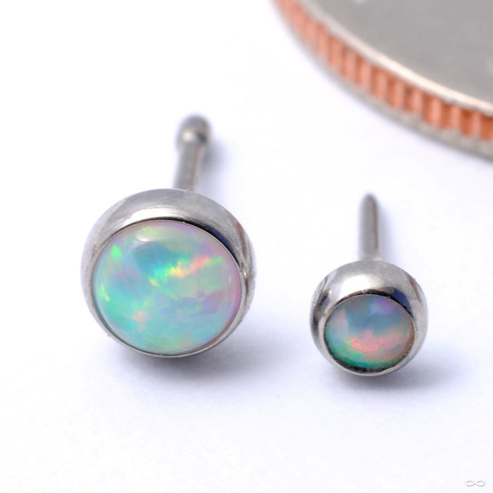 Bezel-set Cabochon Press-fit End in Titanium from NeoMetal with White Opal