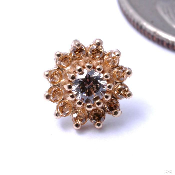 13 Stone Flower Press-fit End in Gold from LeRoi with Clear CZ & Champagne
