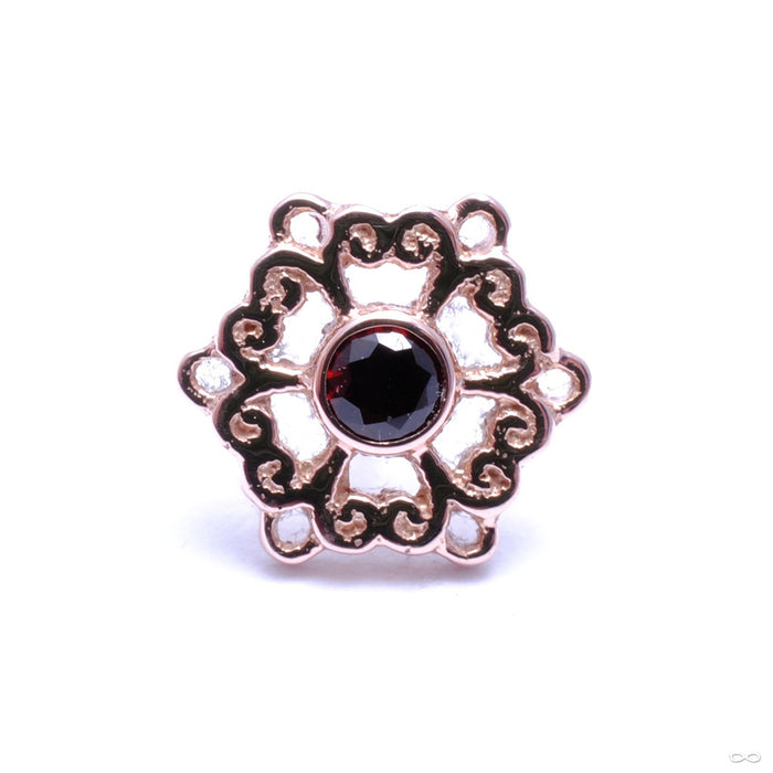 Chloe Press-fit End in Gold from BVLA with Garnet