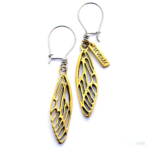 Cicada Wing Earrings from Eleven44 in Brass