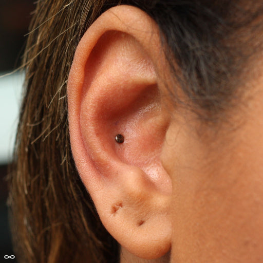 Conch piercing with High Polish Disk Press-fit End in Titanium from NeoMetal in 2.5mm