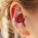 Conch piercing with Flower Press-fit End in Titanium from NeoMetal in Clear CZ