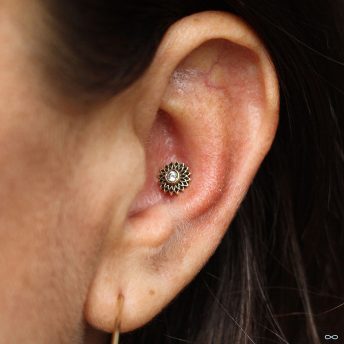 Conch Piercing with Thrive Press-fit End in Yellow Gold with Clear CZ from Maya Jewelry
