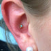 Conch piercing with Bindi Press-fit End in Gold from LeRoi in Robin's Egg
