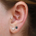 Conch piercing with Mini Paloma Flower Press-fit End in Gold from BVLA in Black CZ