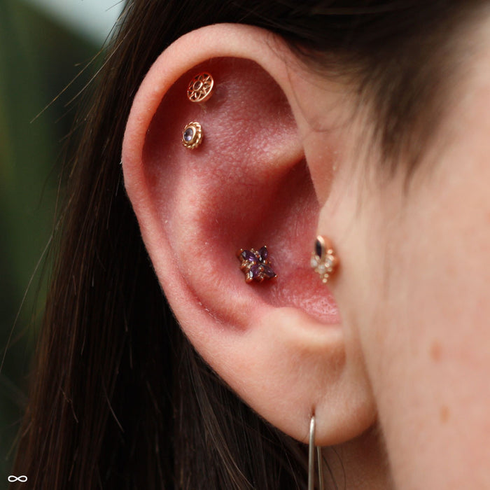 BVLA Mini Pleades Press-fit End in Gold from BVLA Infinite