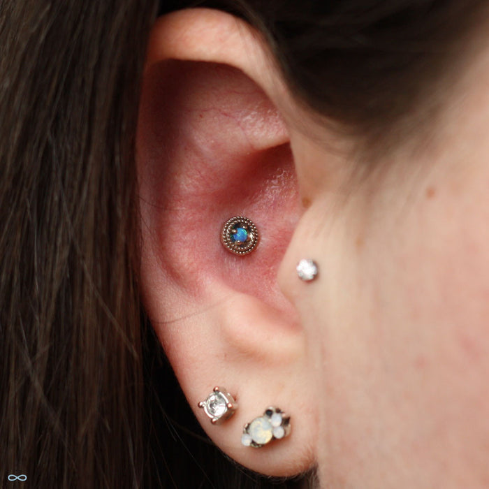 Conch piercing with Double Millgrain Round Press-fit End in Gold from LeRoi in Blue Opal