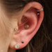 Conch piercing with Afghan Press-fit End in Gold from BVLA with Rainbow Moonstone