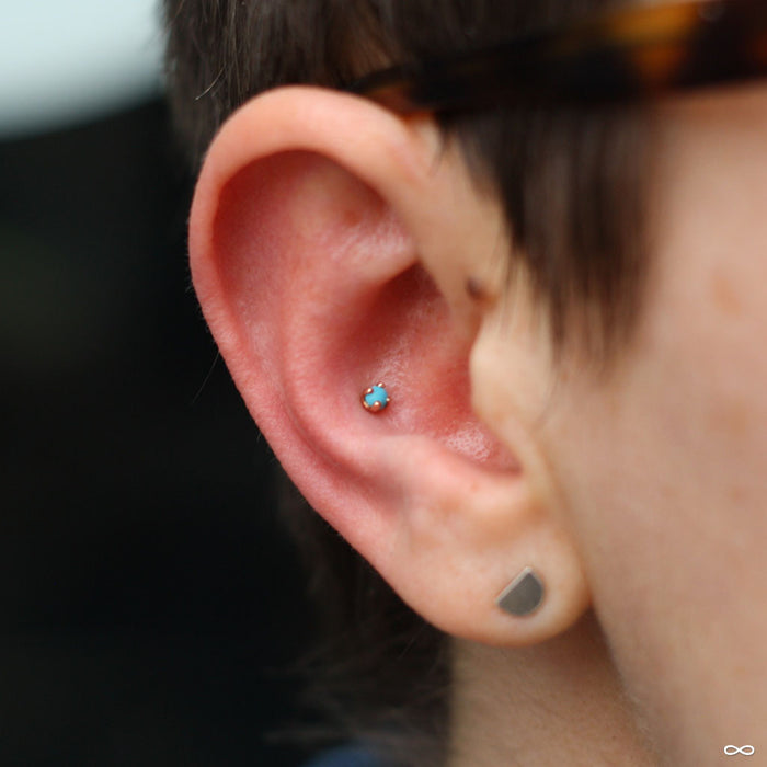 Conch piercing with Prong-set Cabochon Press-fit End in Gold from LeRoi in 2.5mm Turquoise