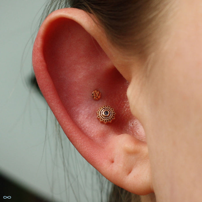 Hammered Disk Press-fit End in Gold from BVLA in a conch piercing