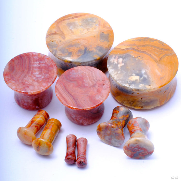 Crazy Lace Agate Plugs from Oracle in Assorted Sizes and Flares
