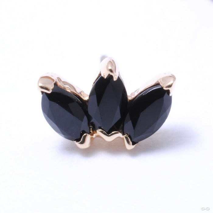 Triple Marquise Fan Press-fit End in Gold from BVLA in faceted black onyx