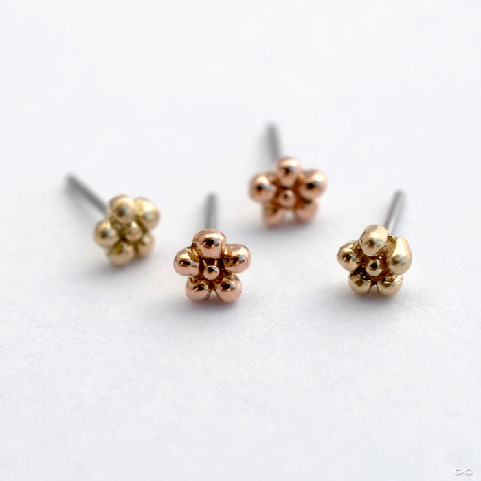 Daisy Press-fit End in Gold from LeRoi in Assorted Metals