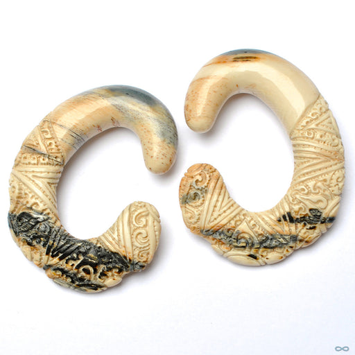 Carved “C” Shape in Mammoth Ivory in 7/16” from Diablo Organics