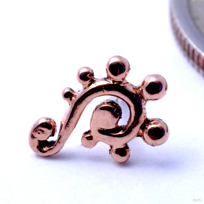 Dots and Swirls Press-fit End in Gold from BVLA in Rose Gold