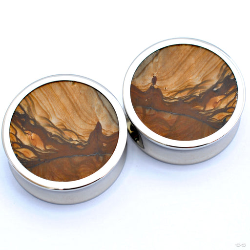 Petrified Wood Cabochon Plugs in 1 ¼” from Reign