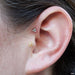 Forward helix piercing with Trinity Press-fit End in Titanium from NeoMetal in Clear CZ