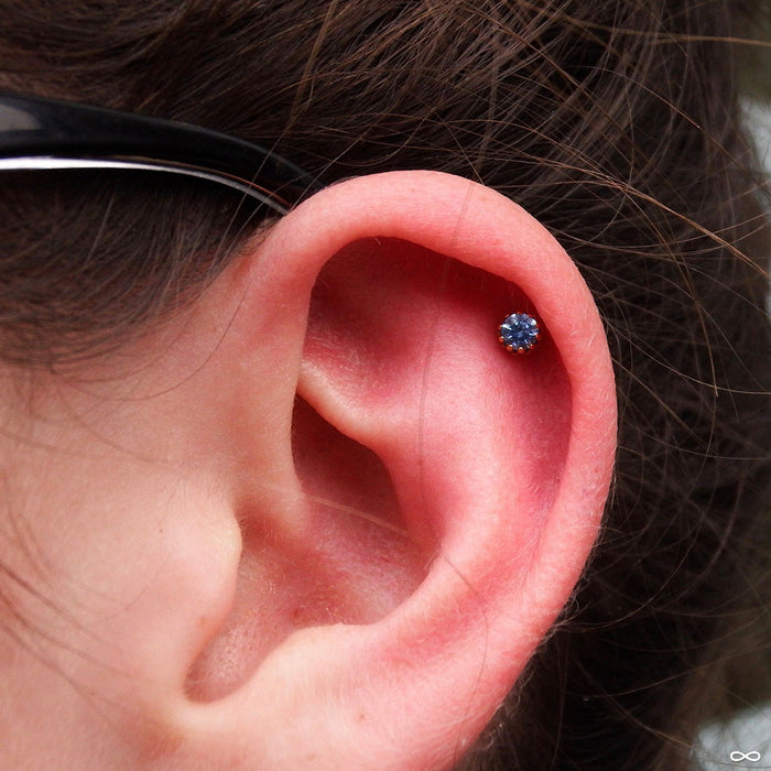 Outer helix piercing with King Press-fit End in Gold from Anatometal in Arctic Blue