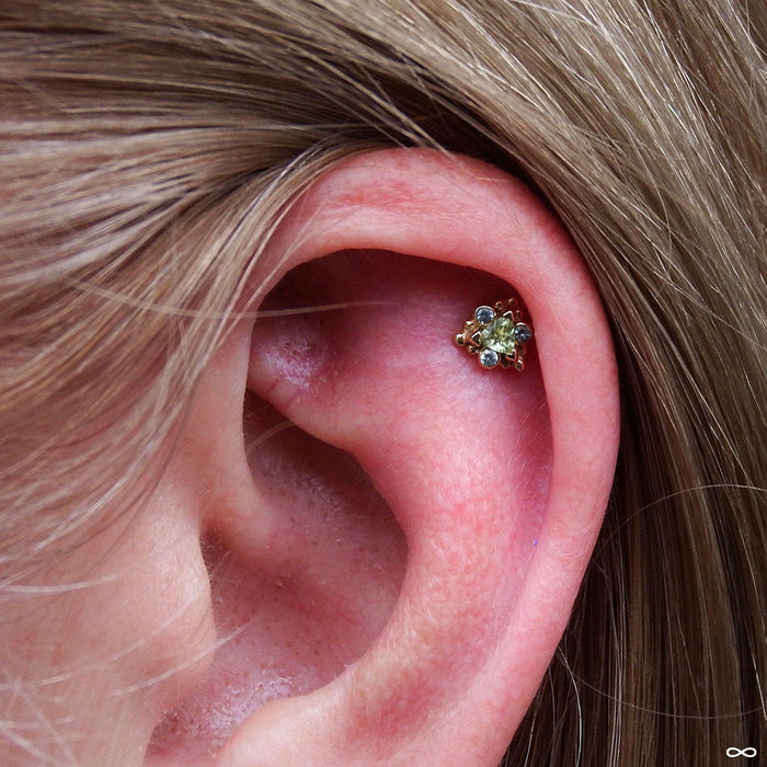 Outer helix piercing with Helana Press-fit End in Gold from BVLA in Peridot & Gray Sapphire