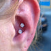 Two conch piercings with Prong-set Gemstone Press-fit End in Titanium from NeoMetal in 4mm Clear CZ