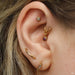 Outer helix piercing with Bindi Press-fit End in Gold from LeRoi with Clear CZ