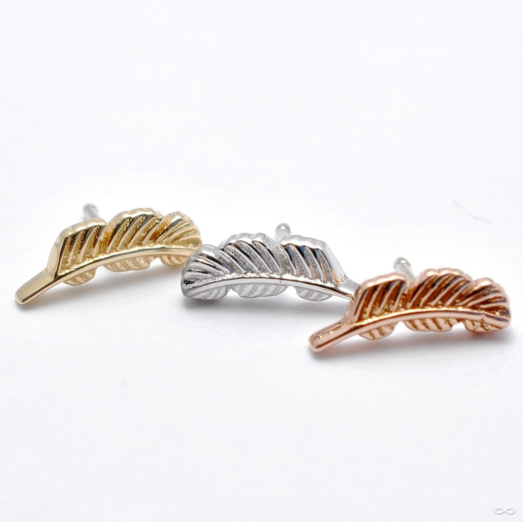 Feather Press-fit End in Gold from BVLA — Infinite Body Piercing, Inc.