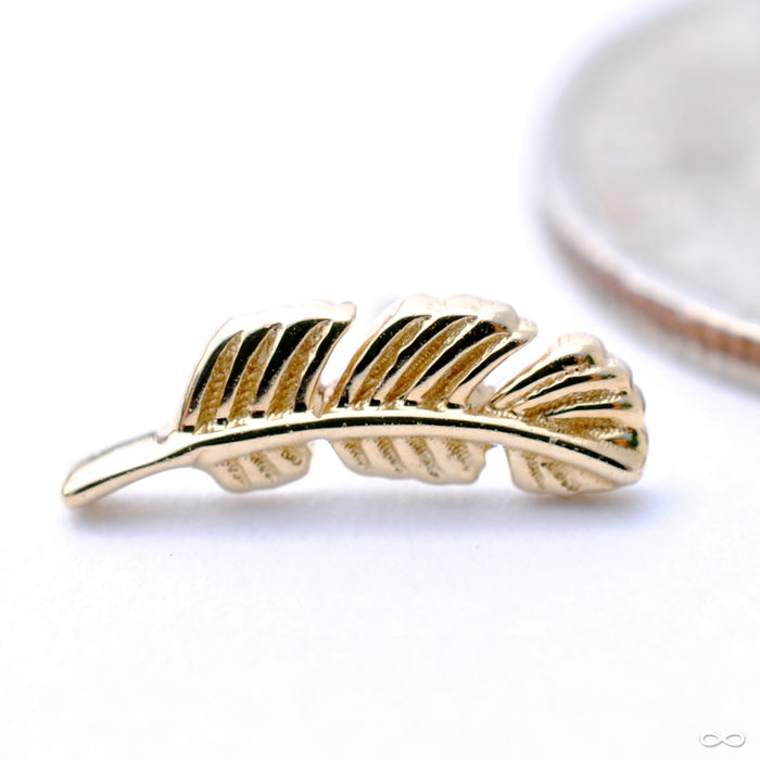 Feather Press-fit End in Gold from BVLA in Yellow Gold