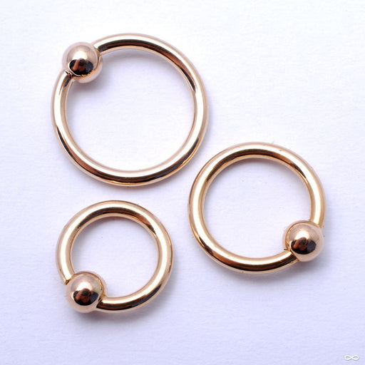 Fixed Bead Rings in Gold in 16g from Anatometal