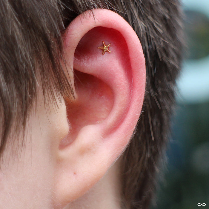 Flat Piercing with Starfish Press-fit End in Gold from Anatometal