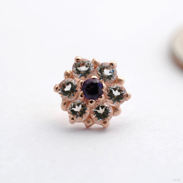 Fleurette Press-fit End in Gold from Scylla with Amethyst & White Topaz