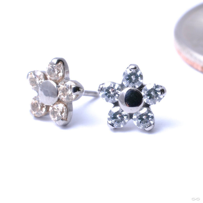 Flower Press-fit End in Titanium from NeoMetal