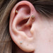 Forward Helix Piercing with Luh You Mean It Press-fit End in Gold from Pupil Hall