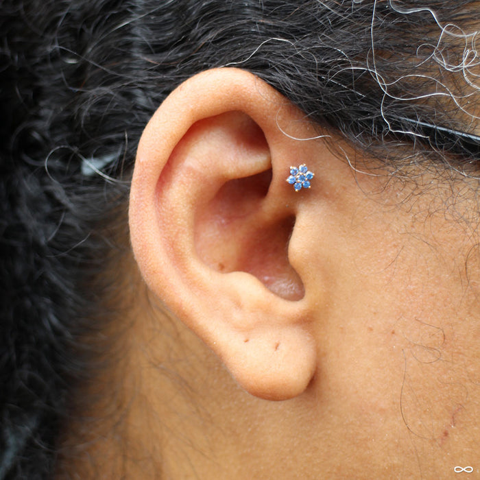 Forward helix piercing with 7 Stone Flower Press-fit End in Gold from LeRoi in Arctic Blue