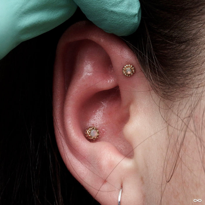 Conch piercing with Crown Press-fit End in Gold from BVLA with White Opal