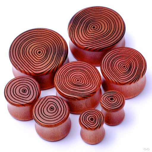 Growth Ring Plugs from Omerica Organic