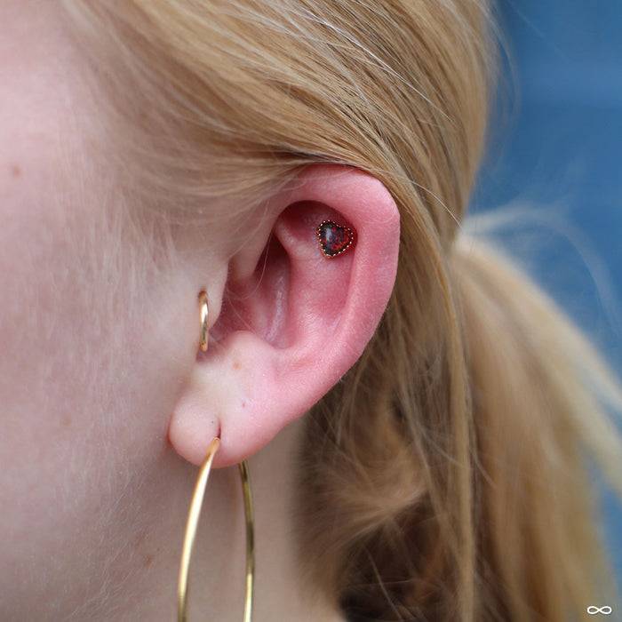 Outer helix piercing with Cabochon Heart Press-fit End in Gold from Anatometal in Red Opal