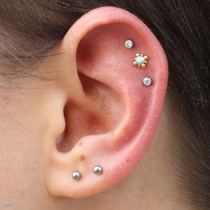 Outer helix piercing with Bindi Press-fit End in Gold from LeRoi with Robin's Egg