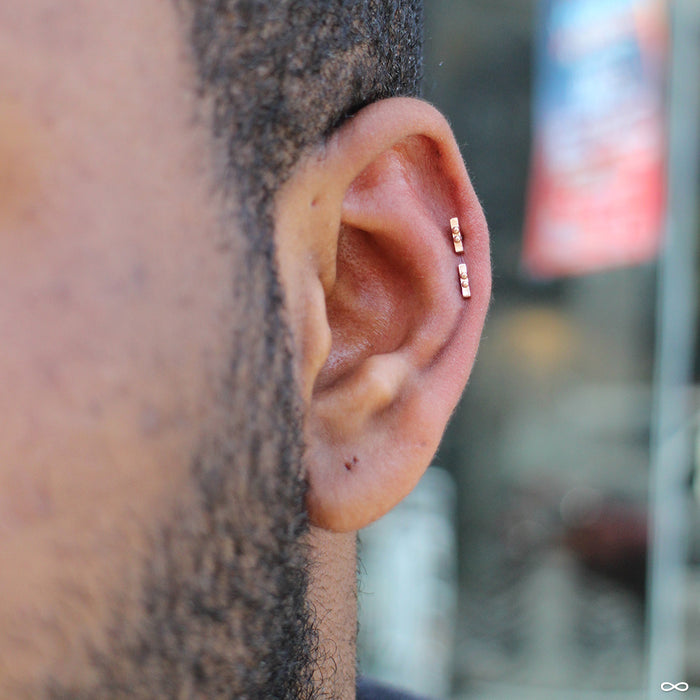 Helix Piercings with 2 Dots 1 Bar Press-fit End in Rose Gold from Pupil Hall