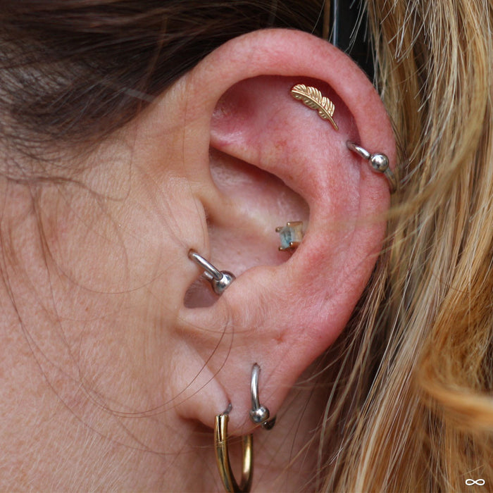 Outer helix piercing with Feather Press-fit End in Gold from BVLA in 14k Yellow Gold
