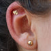 Outer helix piercing with Bee Press-fit End in Gold from LeRoi