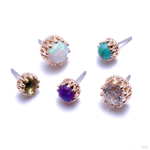 King Press-fit End in Gold from Anatometal with Assorted Stones
