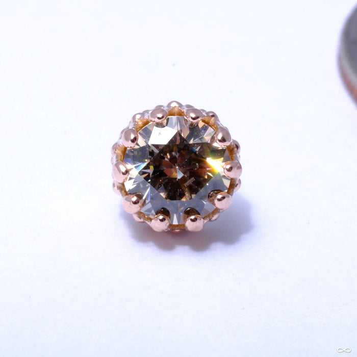 King Press-fit End in Gold from Anatometal with Champagne CZ