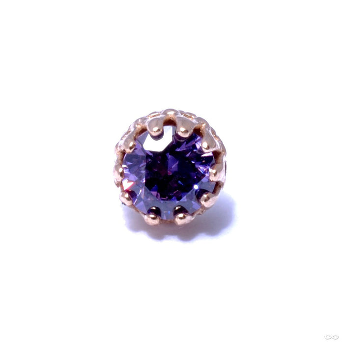 King Press-fit End in Gold from Anatometal with Amethyst