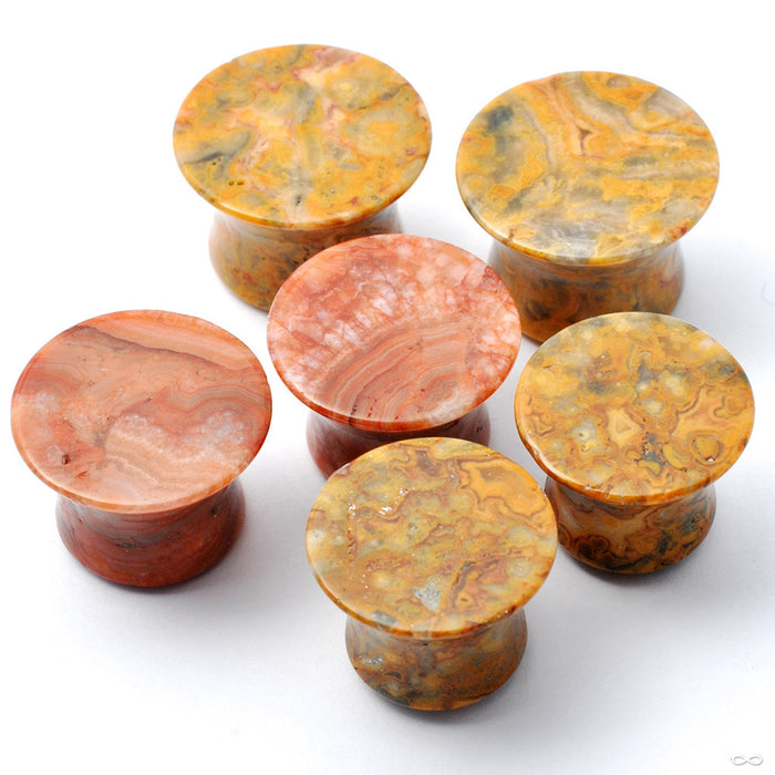 Crazy Lace Agate Mayan Flare Plugs from Oracle in Assorted Sizes